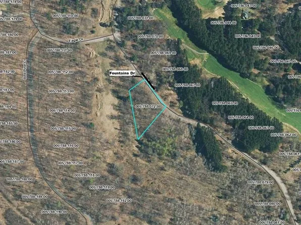 539 Fountains Dr, Lewiston, MI 49756