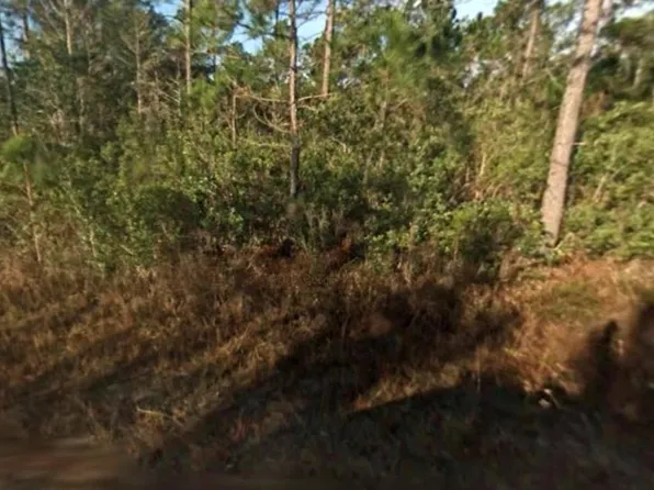 (undisclosed Address), Hastings, FL 32145