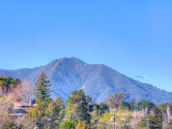 Mt. Tam