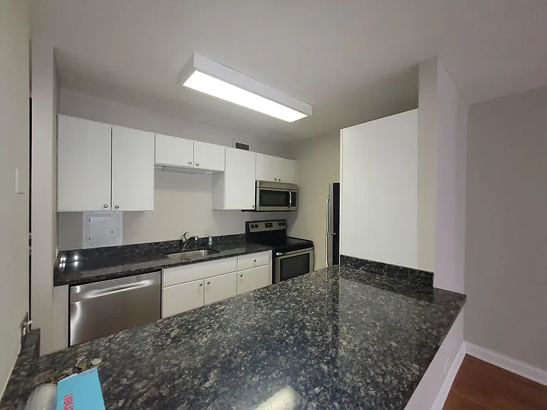 535 N Michigan Ave #1505 — Photo 6