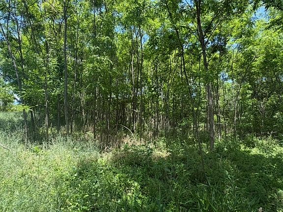 5th image of 0 Buck Ridge Rd