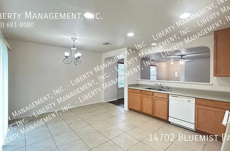 14702 Bluemist Pass — Photo 9