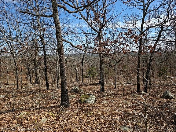 5th image of TRACT 1 Hunter Rd