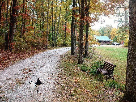 Plenty of trails to walk