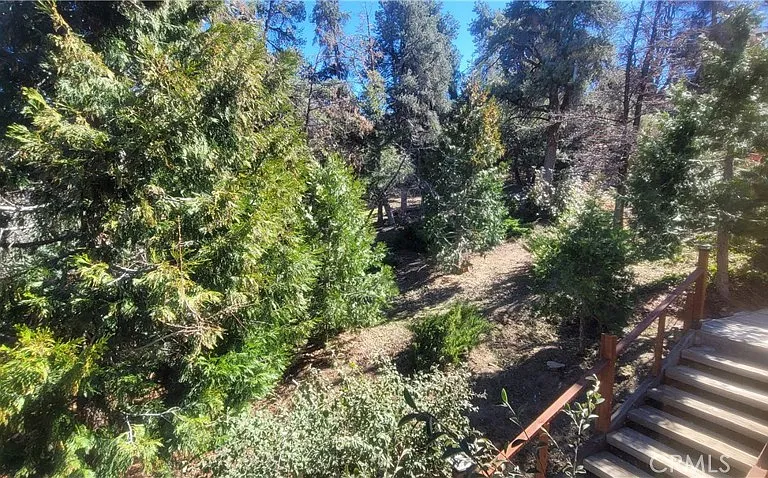 1317 Pinetree Dr — Photo 29