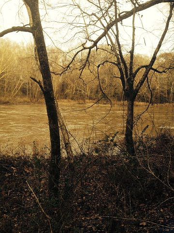1st image of 1180 Dogwood Trl