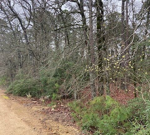 4th image of 2529 County Road 3540