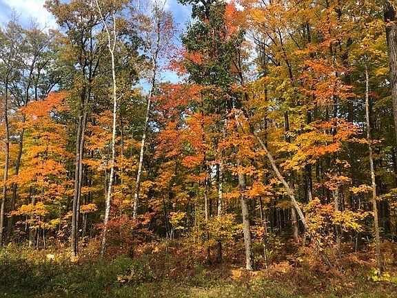 2nd image of Lot 12 Birken Trail Road