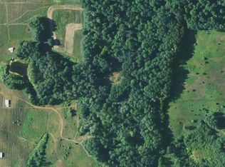 10686 N Elm Ave, Paris, MI 49338