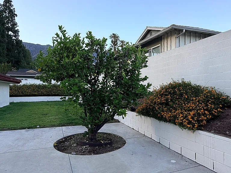 410 N Canyon Blvd — Photo 45