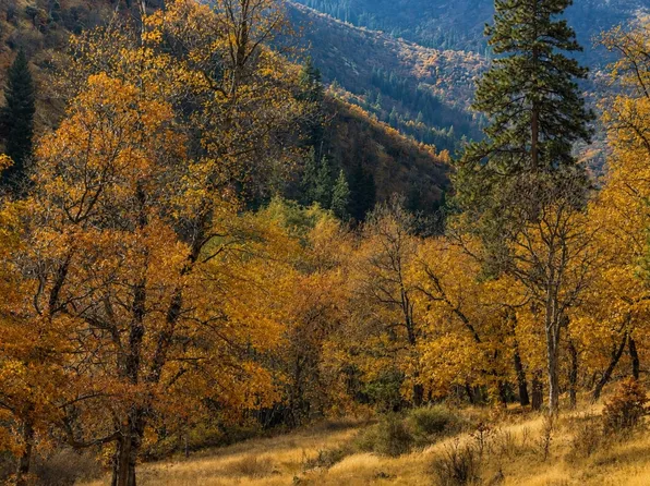 1128 Dutch Creek Rd, Klamath River, CA 96050