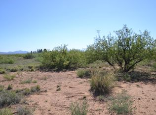 27.62 Ac Hwy LOT 191, Douglas, AZ 85607