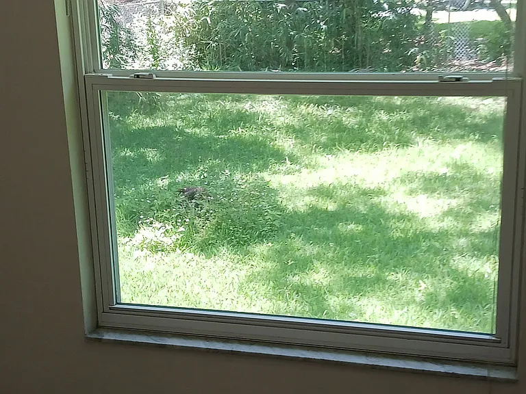 Guestroom window overlooking fenced backyard