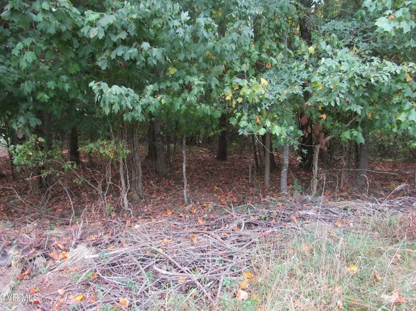 0 Baywood Dr Lot 1, Piney Flats, TN 37686