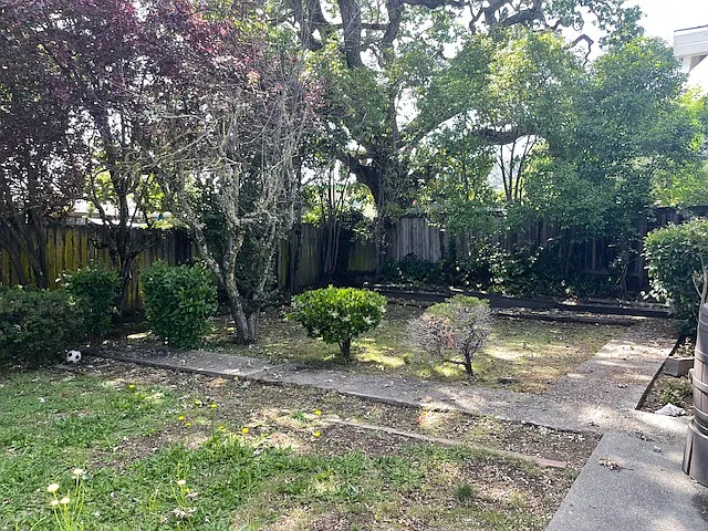 353 Miller Creek Rd — Photo 16