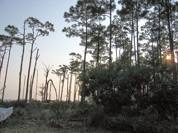 5th image of 11559 Fuller Dr.