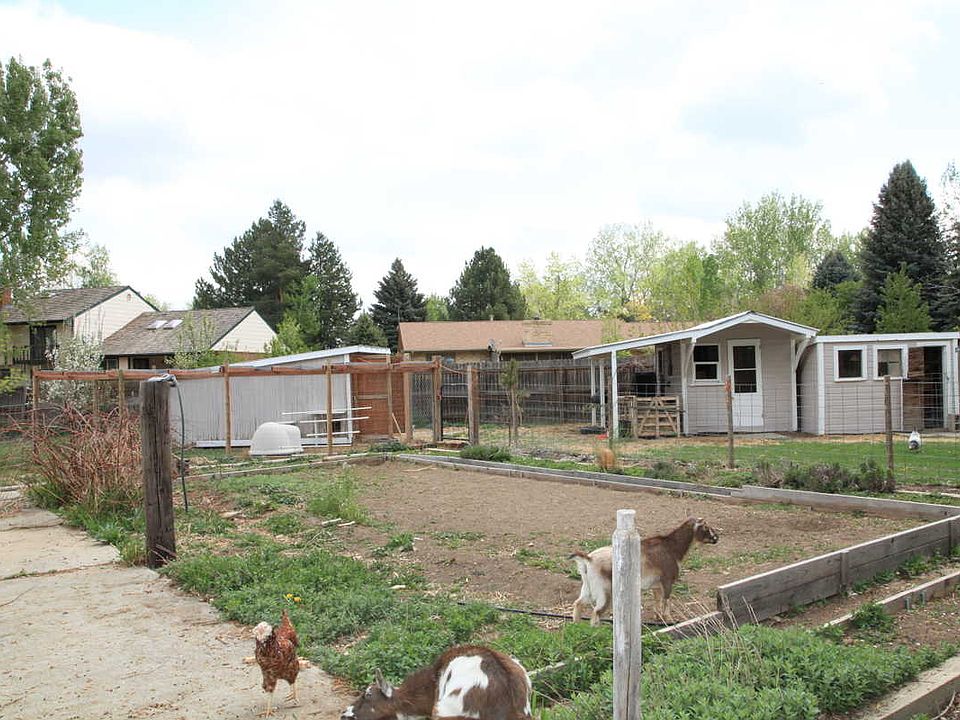 Back Yard view 2