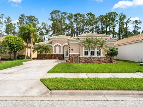 3455 Pegaso Ave, New Smyrna Beach, FL 32168