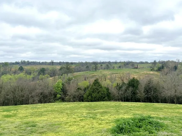 0 Hog Ridge Ct, Noel, MO 64854