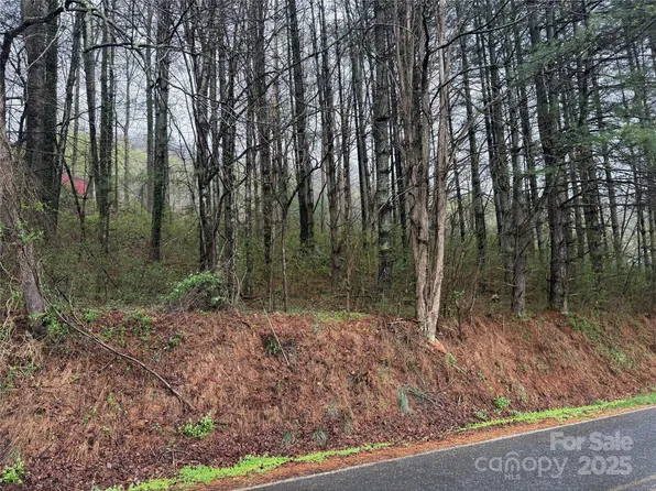 0 Locust Creek Rd, Sylva, NC 28779