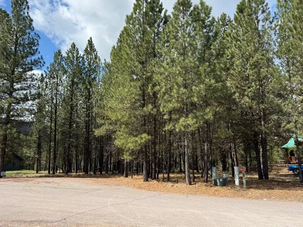 312 Dunham Ct, Seeley Lake, MT 59868