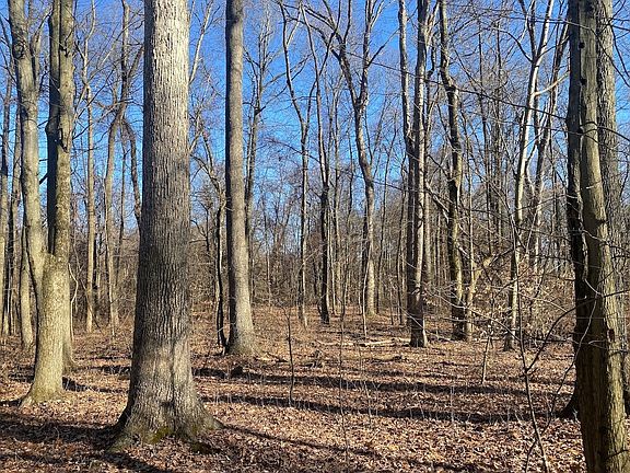 5th image of 28370 Jug Run Rd
