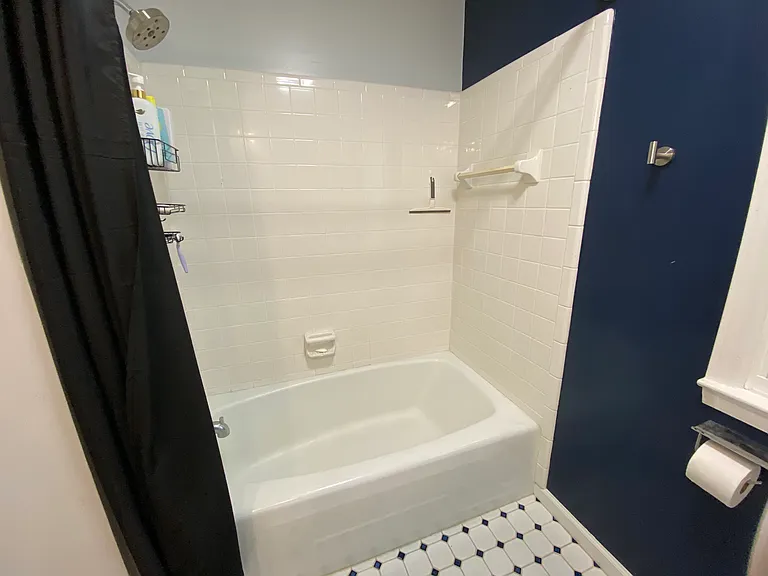 hall bathroom, bathroom #2