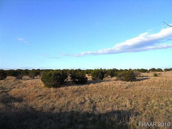 4th image of LOT 13 County Road 1255