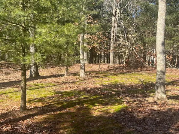 4007 Riverview Dr S, Hesperia, MI 49421