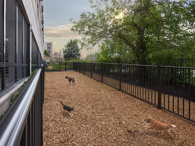 Coulter Place — Photo 48