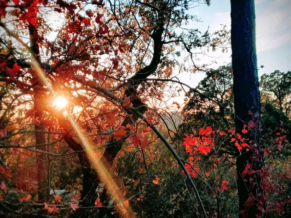 92 W Ralls Dr, Pine, AZ 85544