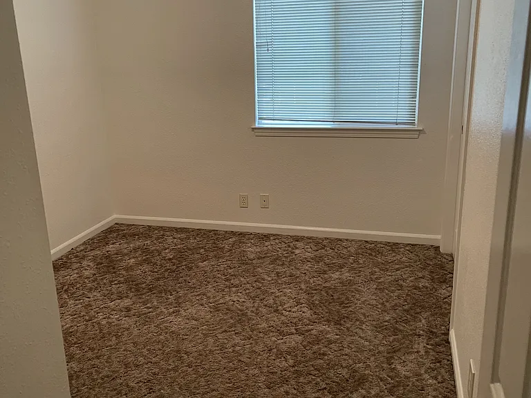 819 Black Walnut Way — Photo 6