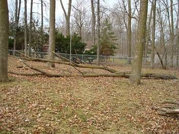 3rd image of 5938 Hiawatha Heights Dr