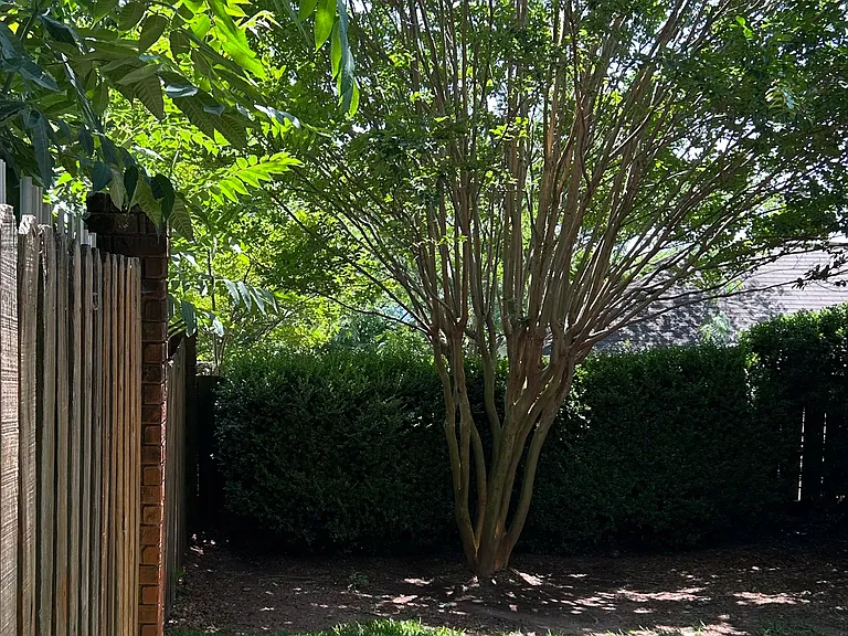 713 Rockford Cir — Photo 9