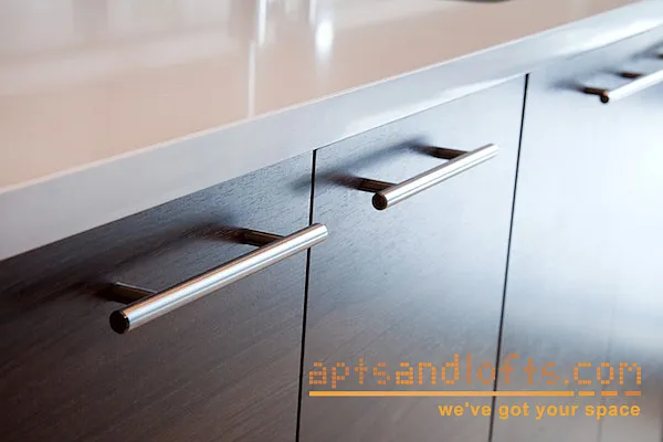 Rented by aptsandlofts.com | media 39