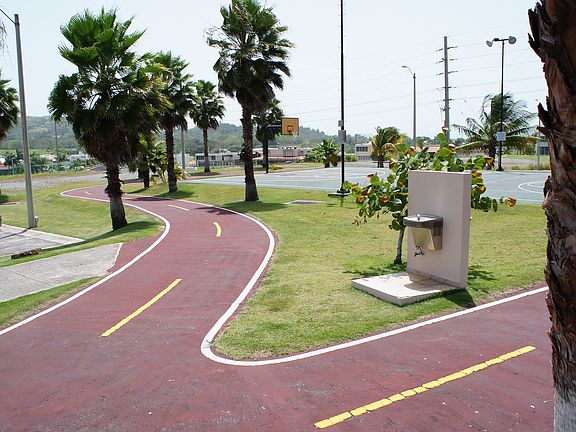 Walking Trails