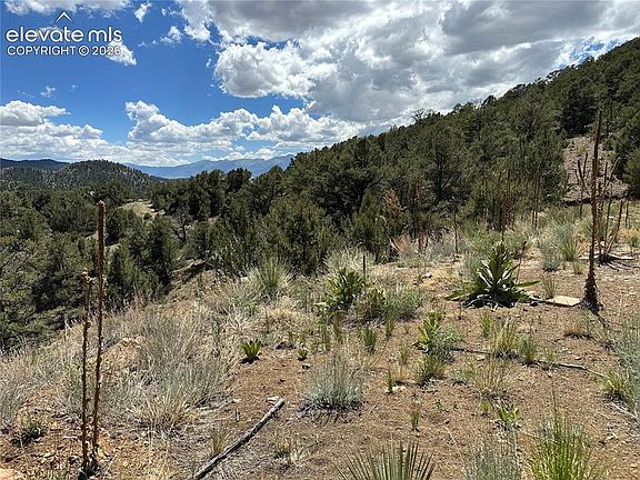 3rd image of 2973 Driftwood Rd
