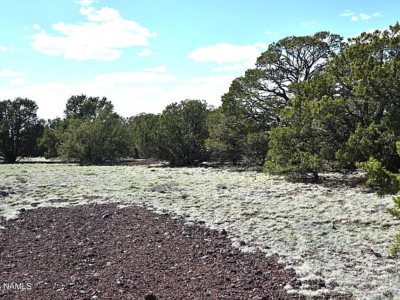 5th image of 20203017 Griffin Rd