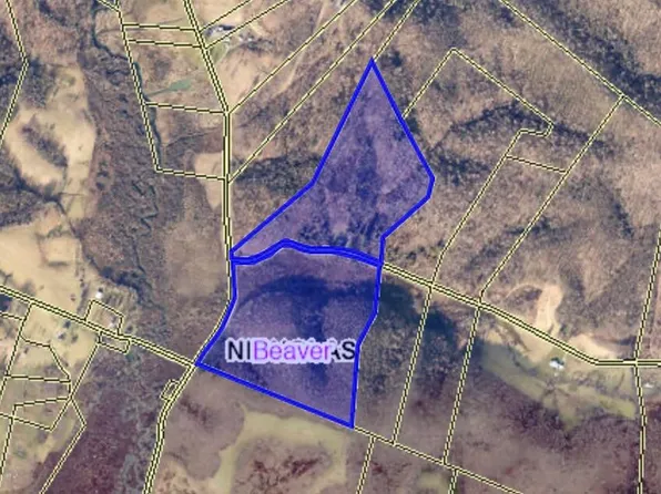 167 Horse Pen Rd, Tioga, WV 26691