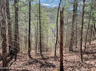 S Highway 107, Del Rio, TN 37727