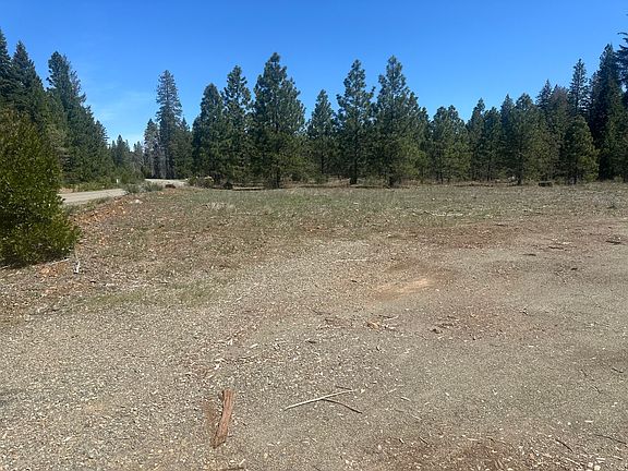 3rd image of LOT 1 Mount Lassen Woods Dr