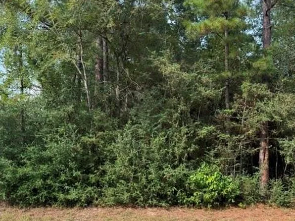 0 Little John Cir Lot 120, Hockley, TX 77447
