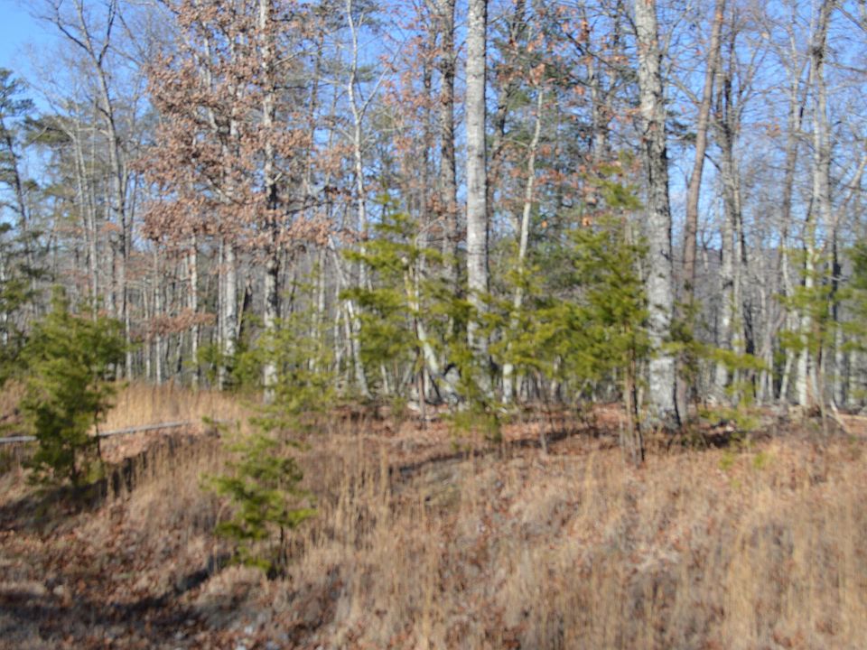 2nd image of 53 Black Diamond Dr