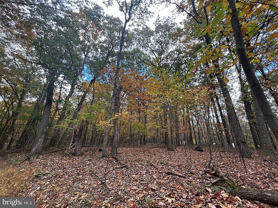 2nd image of Lodge Ln