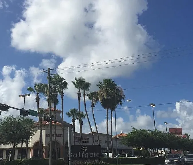 7313 Gulf Fwy #0 — Photo 16