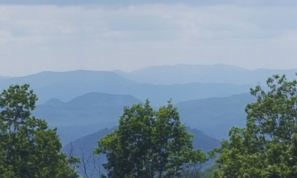 View from my treestand