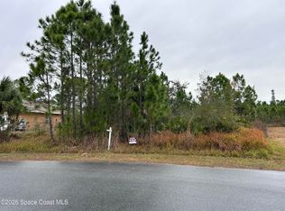 2991 Tinley Rd SE, Palm Bay, FL 32909