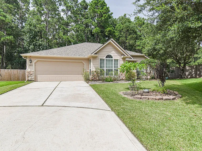203 Summer Pine Ct — Photo 3