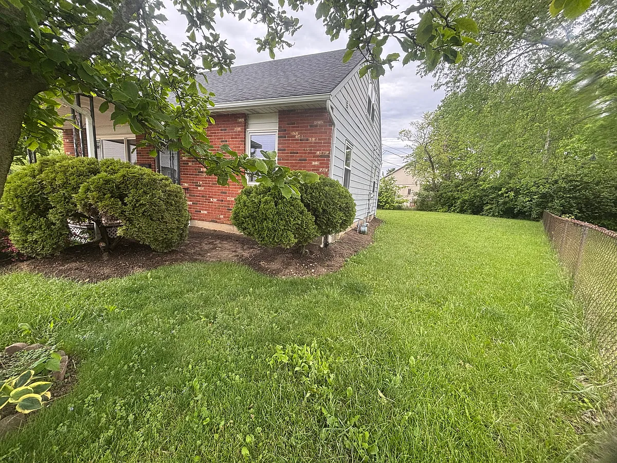 right side view of yard - 2666 Arcola Rd