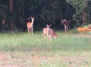 118 Heartwood Pl, Florahome, FL 32140